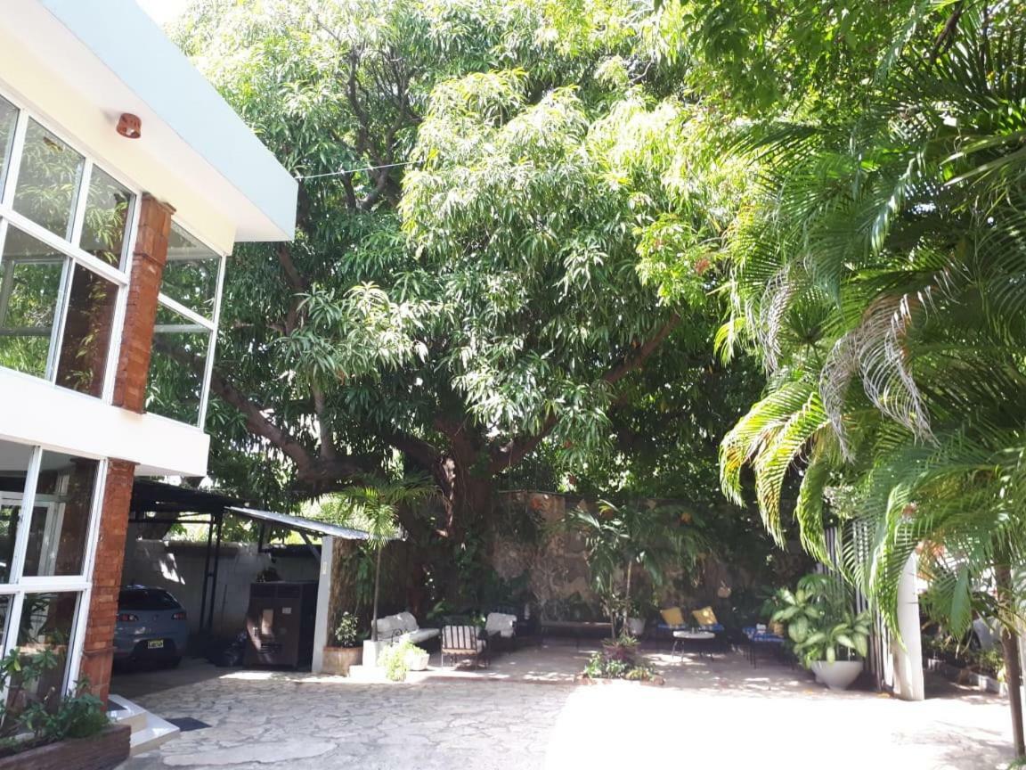 Hotel Alcaldeza - Garden House Maria Guadalupe Santo Domingo Eksteriør billede
