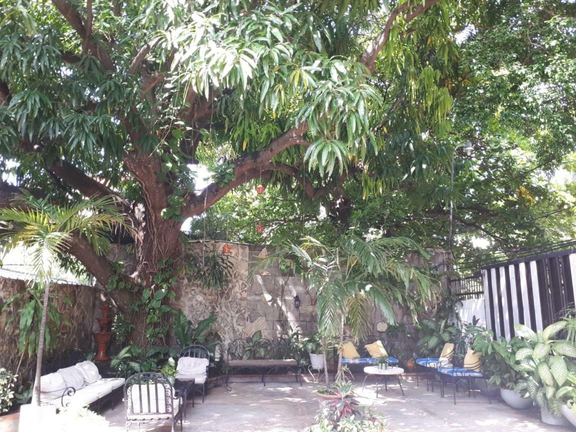 Hotel Alcaldeza - Garden House Maria Guadalupe Santo Domingo Eksteriør billede