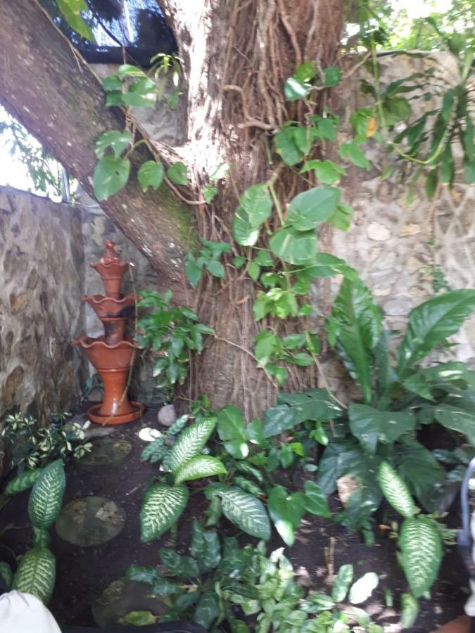 Hotel Alcaldeza - Garden House Maria Guadalupe Santo Domingo Eksteriør billede
