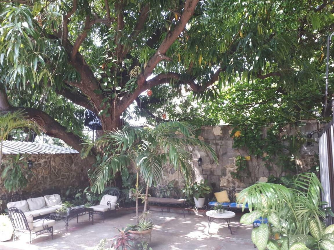 Hotel Alcaldeza - Garden House Maria Guadalupe Santo Domingo Eksteriør billede